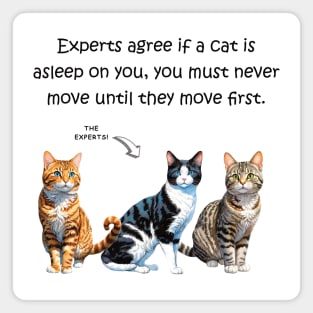 Experts agree if a cat is asleep on you, you must never move until they move first - funny watercolour cat design Magnet